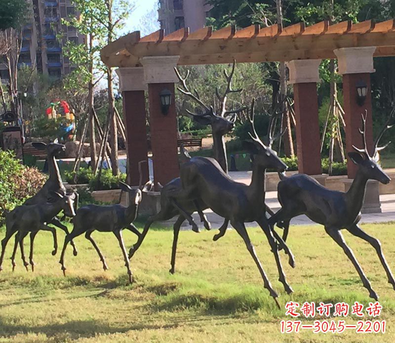 许昌“梅花鹿传递自由与美好”