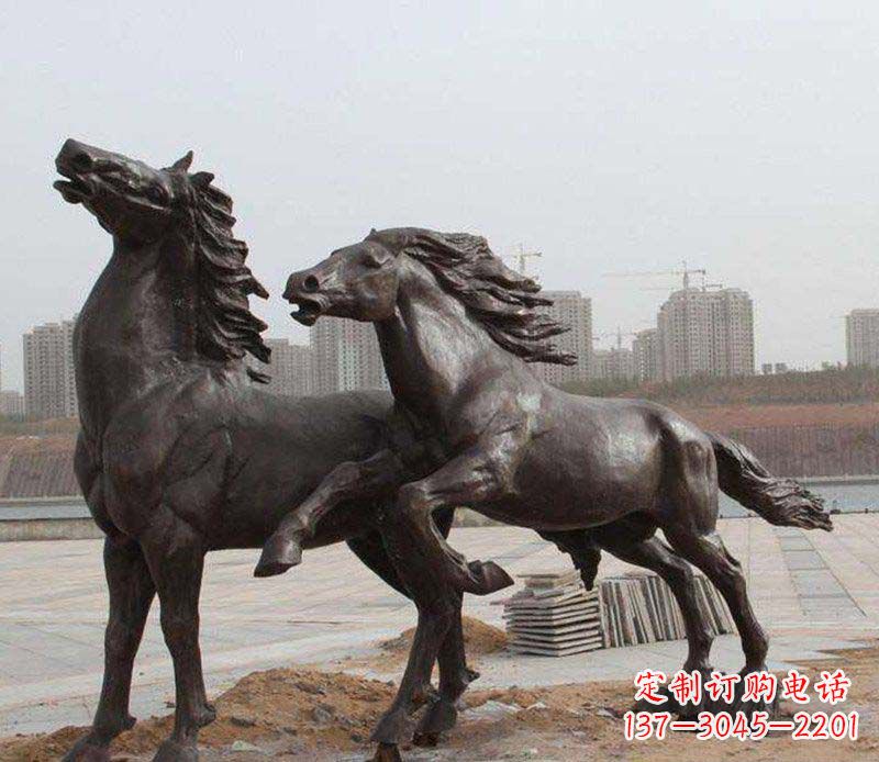 许昌广场马动物铜雕_1